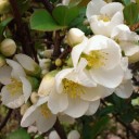 2012年5月22日（火）