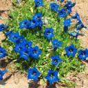2012年5月22日（火）
