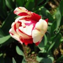 2012年5月22日（火）