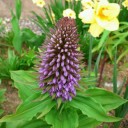 2012年5月22日（火）