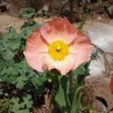 2012年5月22日（火）