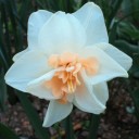 2012年5月23日（水）