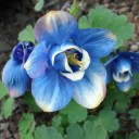 2012年5月24日（木）