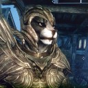 【サルモールも】Skyrim【俺が敵】