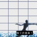 ぬこマグロの動画きてたんで
