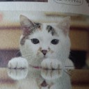 見つけたっ！