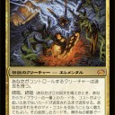 プレーンチェイス2012
