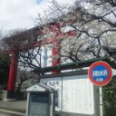 穴埋め⑥