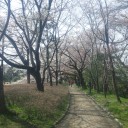 穴埋め⑥