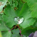 2012年5月29日（火）