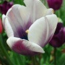 2012年5月29日（火）