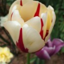 2012年5月29日（火）