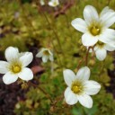 2012年5月29日（火）