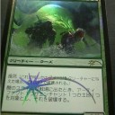 来月６月の大会予定とFNMプロモ