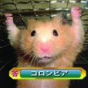 6月4日の日記