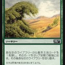 不屈の自然の反省会