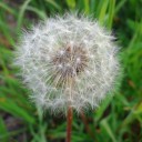 2012年6月5日（火）