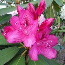 2012年6月5日（火）