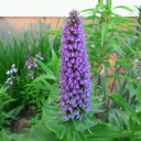 2012年6月5日（火）