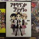 拡張アート：修繕 / ULG とアキタランド・ゴシック