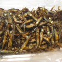 味を求めて　再度浮御堂へ！
