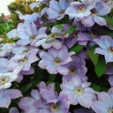 2012年6月16日（土）