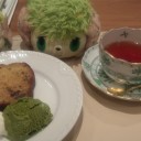 ハイレベルな何時もの紅茶屋のお茶会とシェイミ