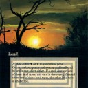 拡張アート：scrubland