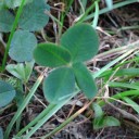 2012年6月21日（木）