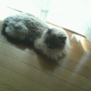 ダイヤモンド・・・