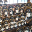 陶器釜を買いに　信楽へ！