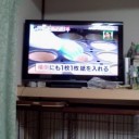 しるしる。