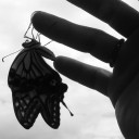 ７がつ２にちのにっき　“暫定版”　の巻