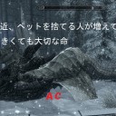 7月7日の日記Ⅱ