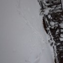 続・雪景色。