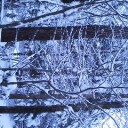 続・雪景色。