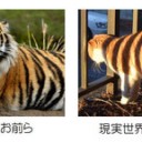 7月8日の日記Ⅲ