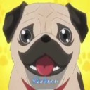 ロマンチストでオポチュニストのプレイリスト