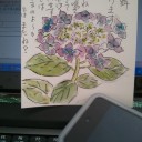 水曜日