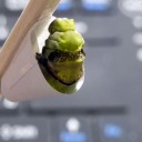 さなぎぽけっとのつくりかた　“学校からのプリント二次使用計画”　の巻