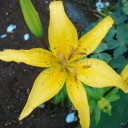 2012年7月12日（木）