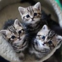 わたしのかれは・・・