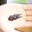 長野に来ています