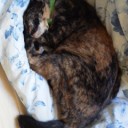 素晴らしきかな、人生。(^-^)g