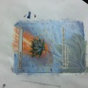 【拡張アート】金粉の水蓮【MTG】