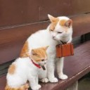 にゃらん・・・