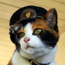 たまちゃん・・・・