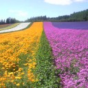 またきた北国