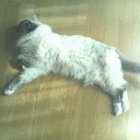 ひっそりと・・・