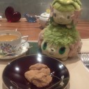 何時ものように全力お茶会とシェイミ